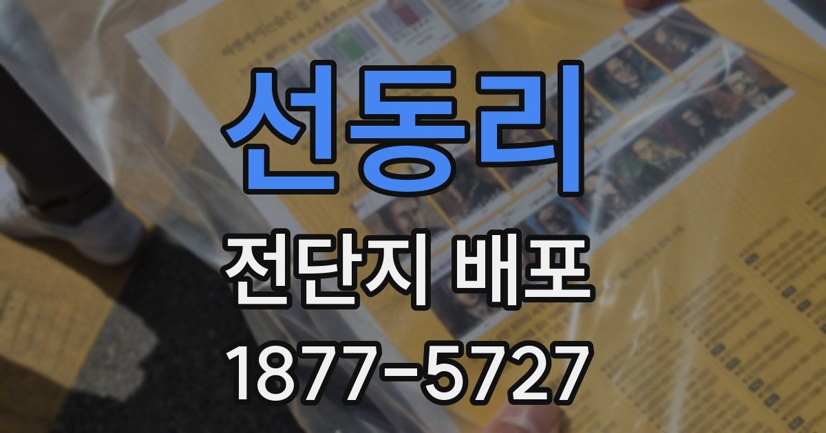 선동리 전단지 배포