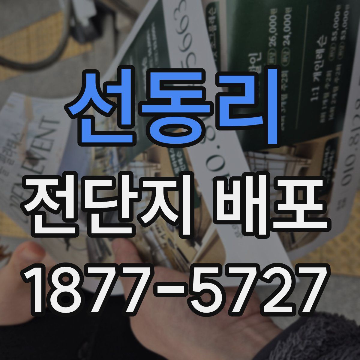 선동리 전단지 배포