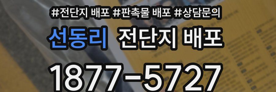 선동리 전단지 배포