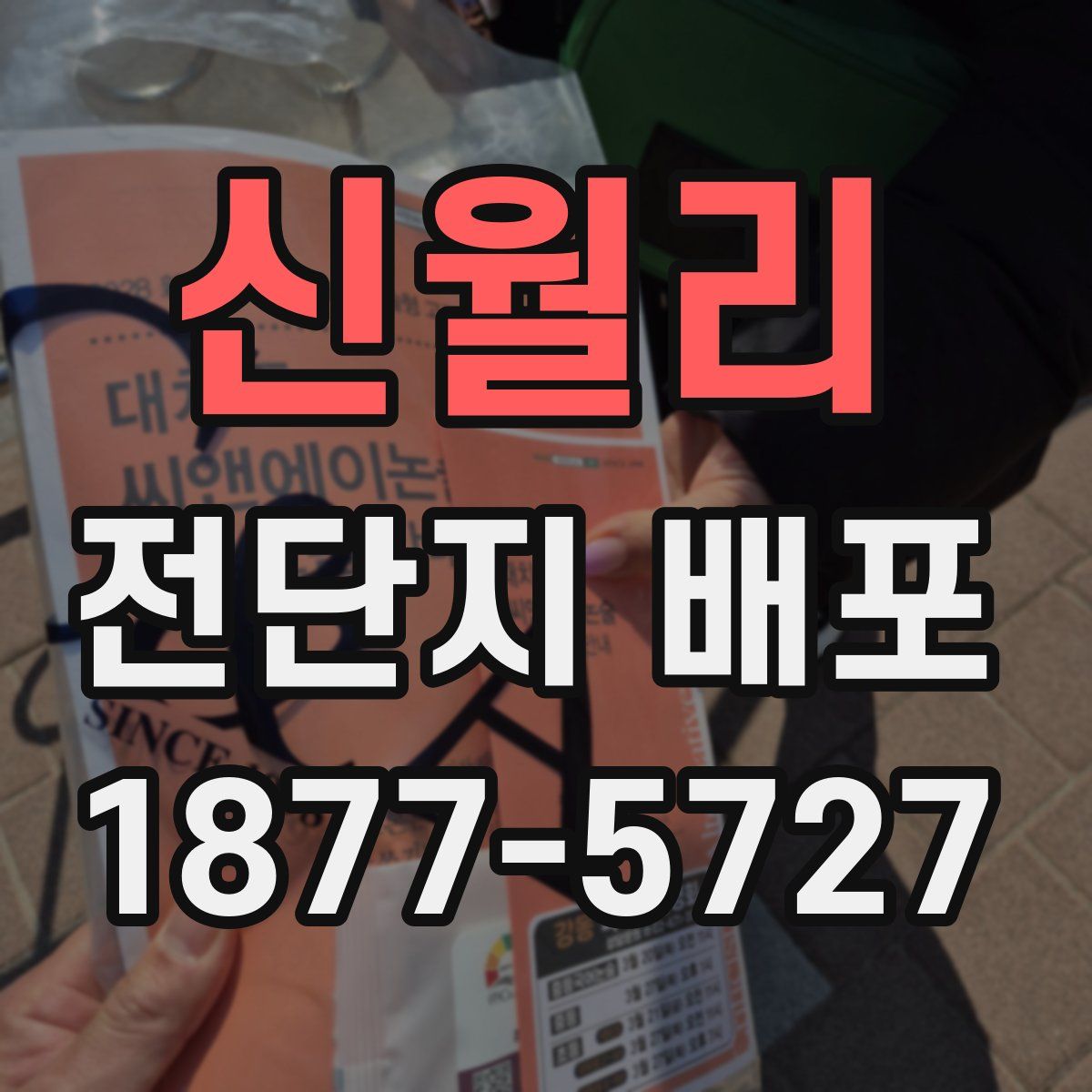 신월리 전단지 배포