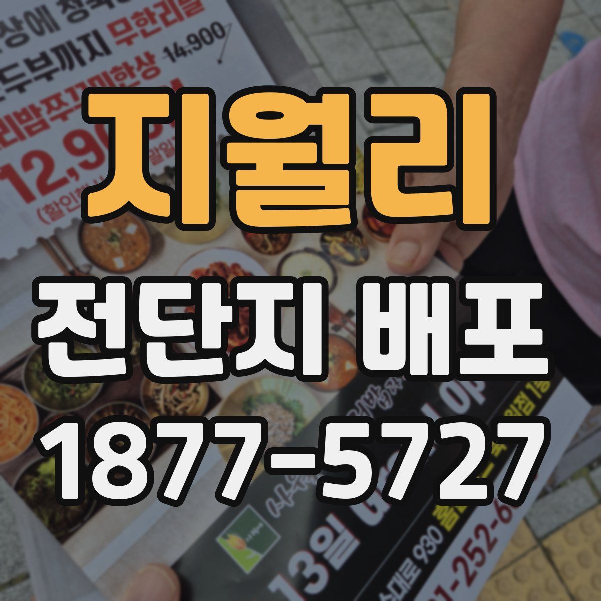 지월리 전단지 배포