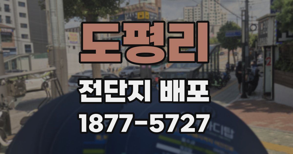도평리 전단지 배포