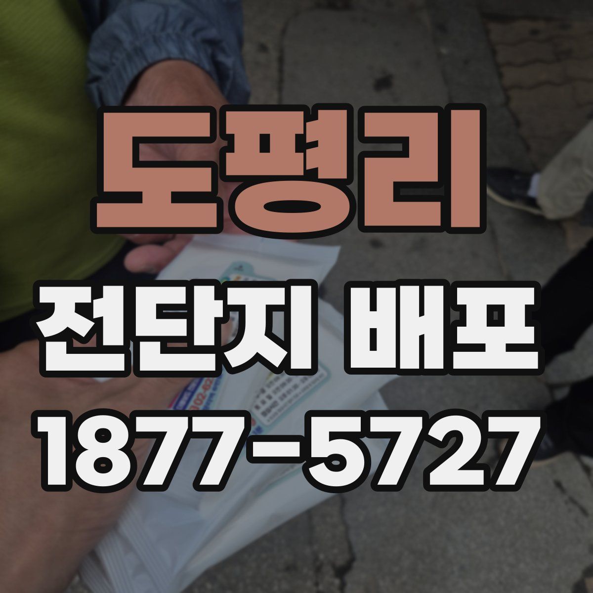 도평리 전단지 배포