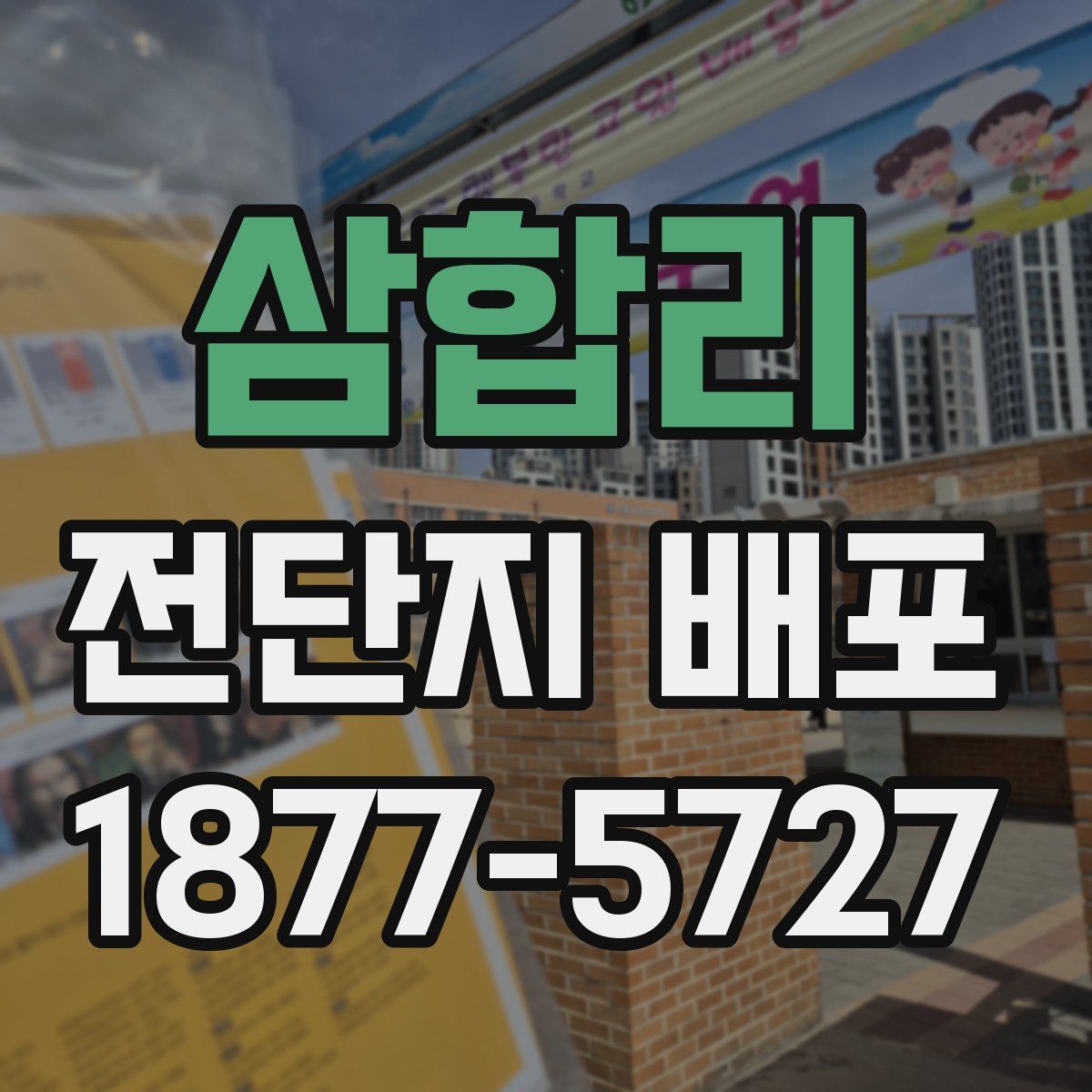 삼합리 전단지 배포