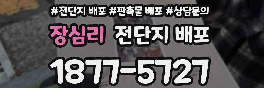 장심리 전단지 배포