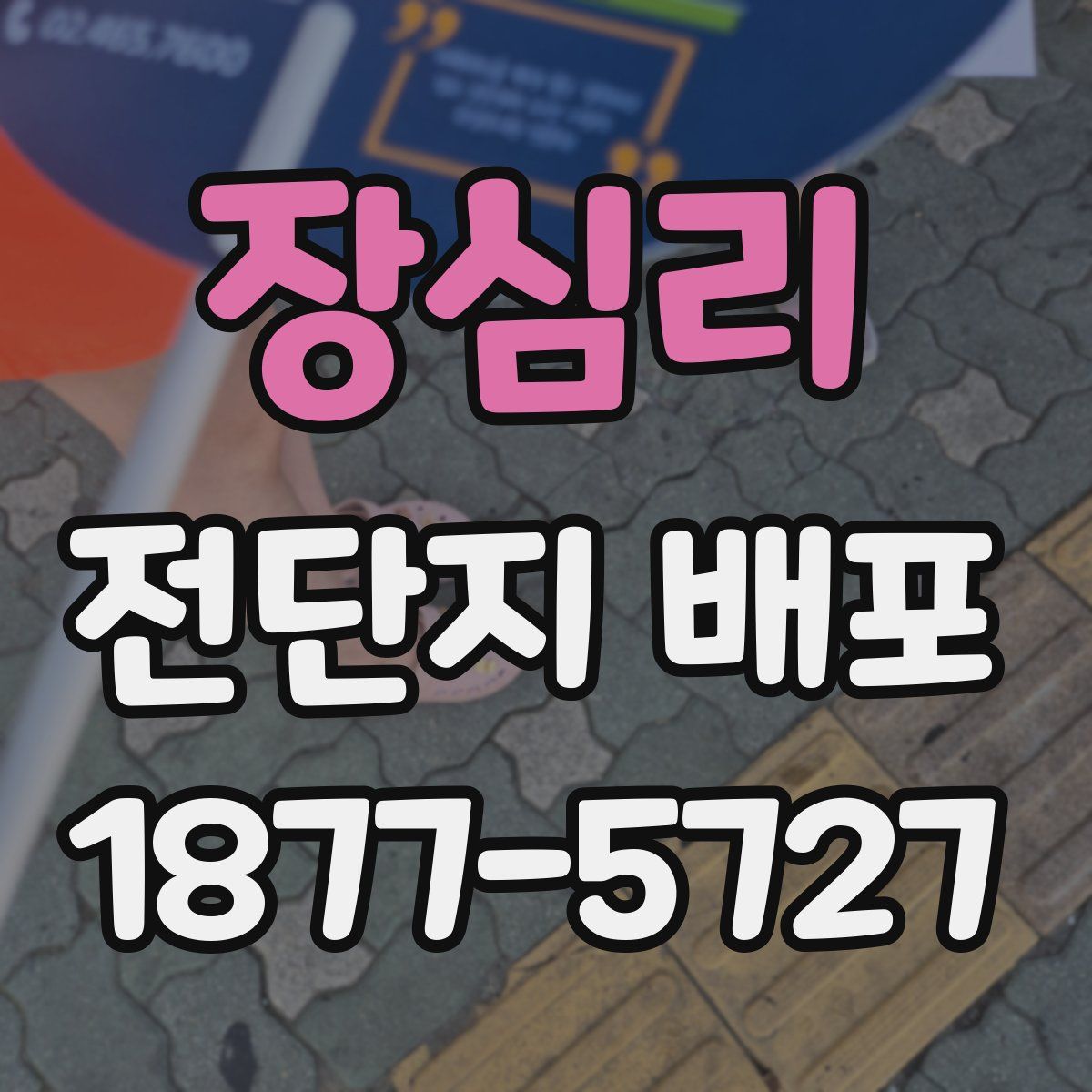 장심리 전단지 배포