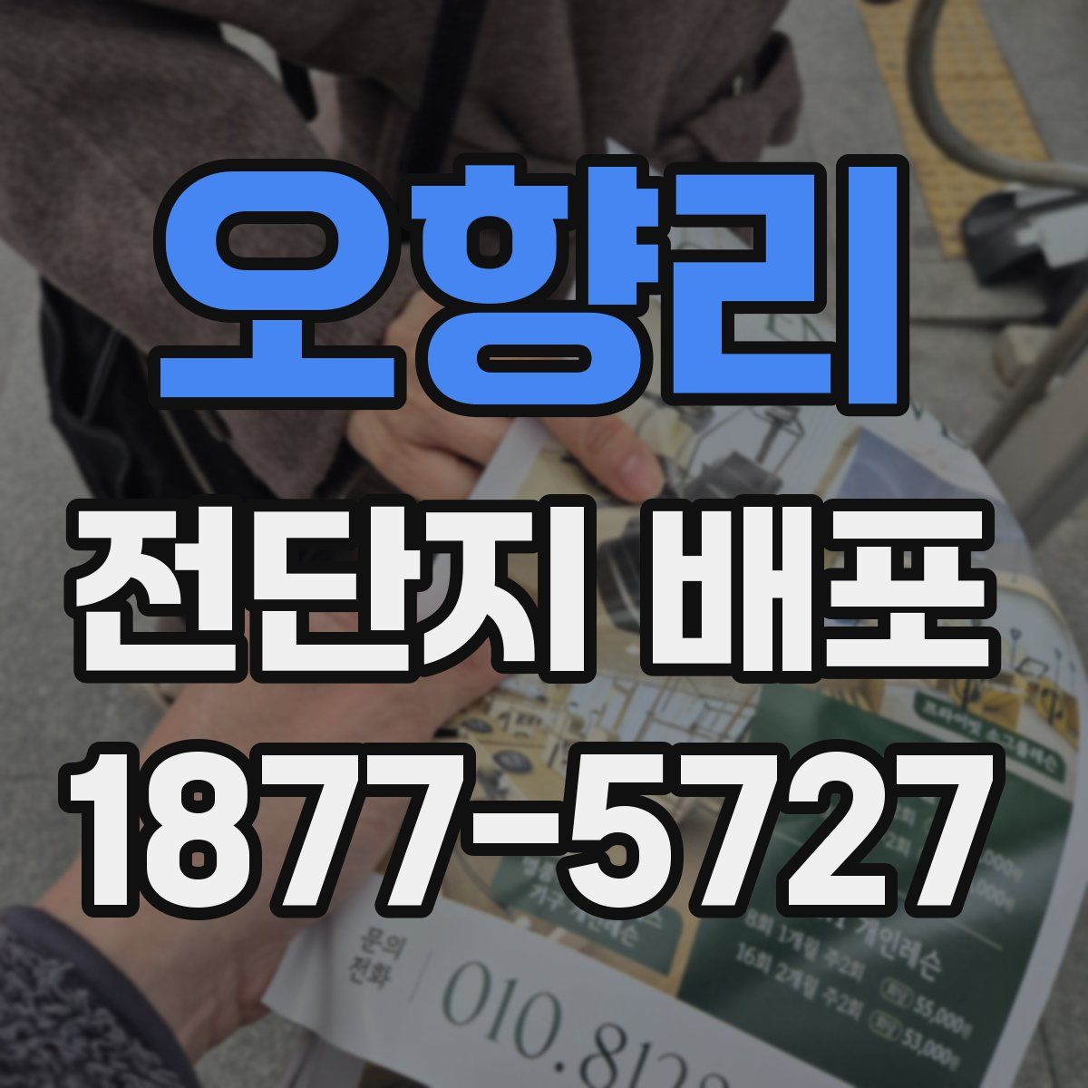 오향리 전단지 배포