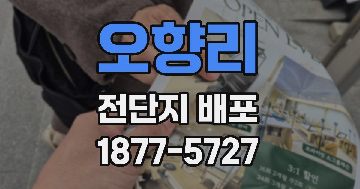 오향리 전단지 배포