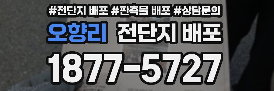 오향리 전단지 배포