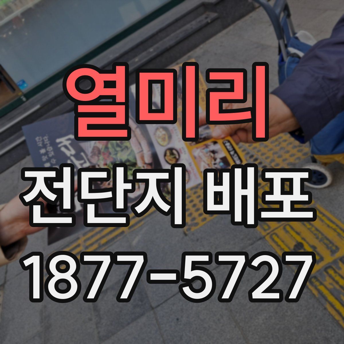 열미리 전단지 배포