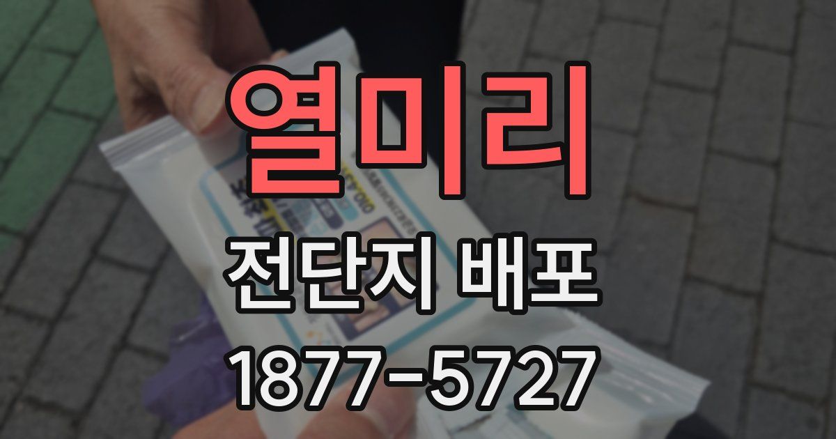 열미리 전단지 배포