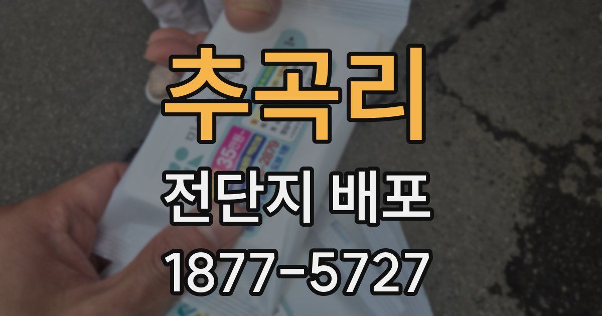 추곡리 전단지 배포