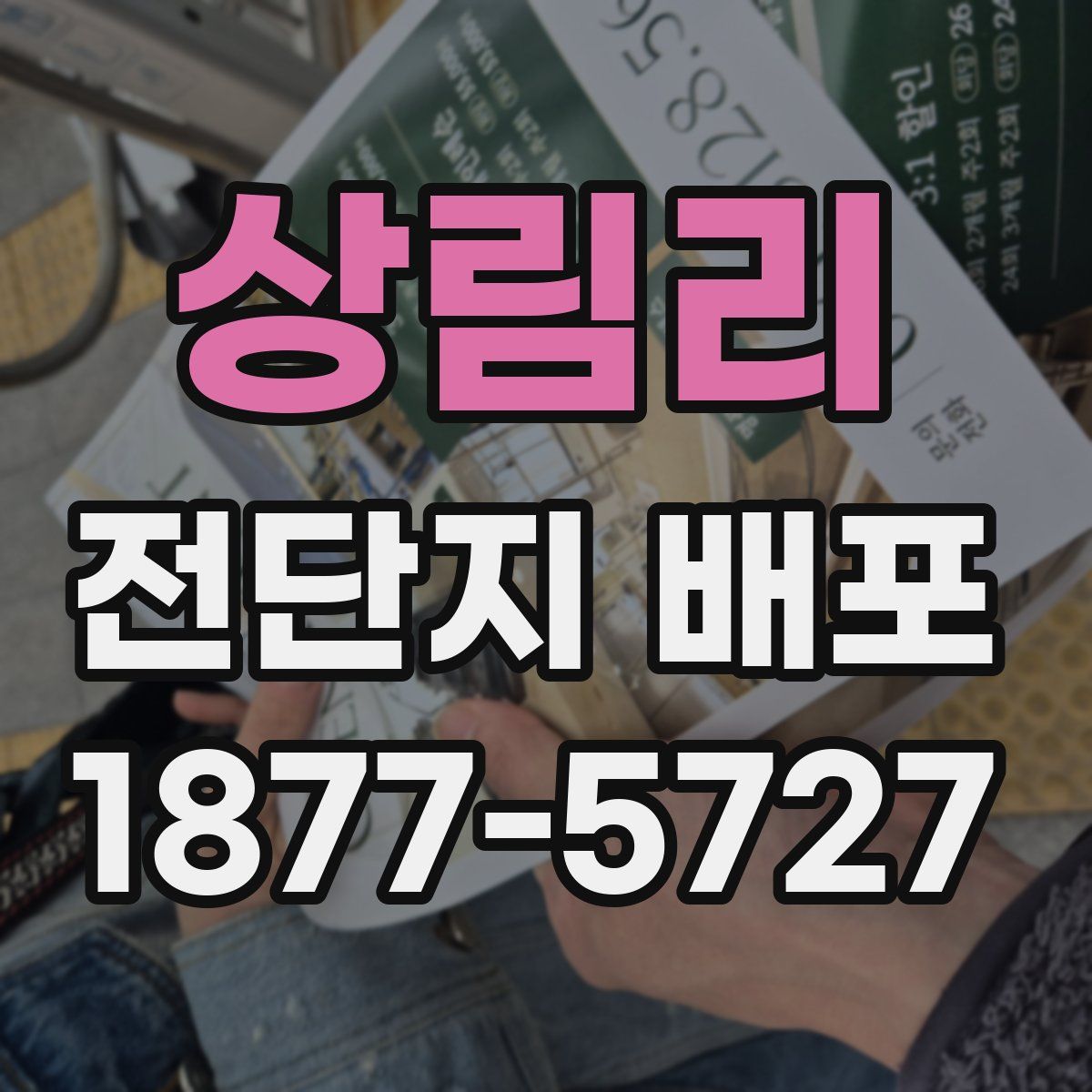 상림리 전단지 배포