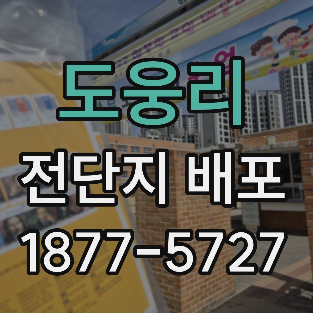 도웅리 전단지 배포