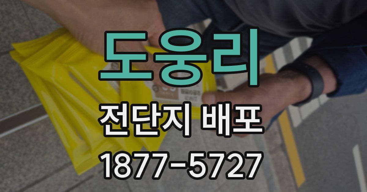 도웅리 전단지 배포