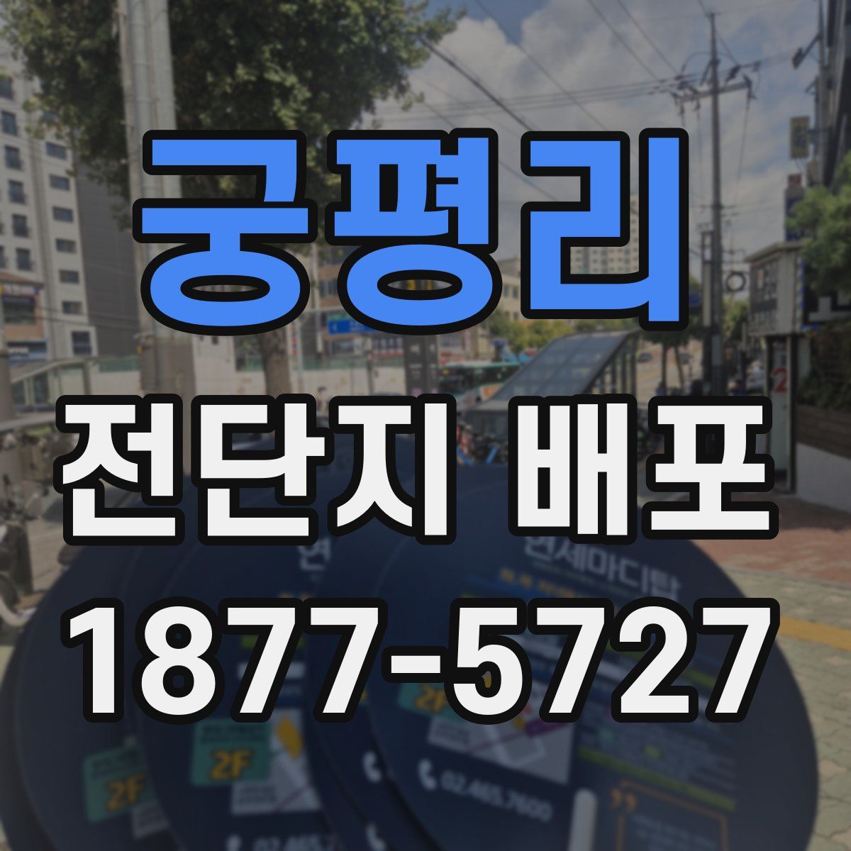 궁평리 전단지 배포