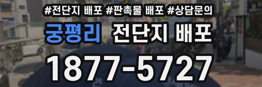 궁평리 전단지 배포