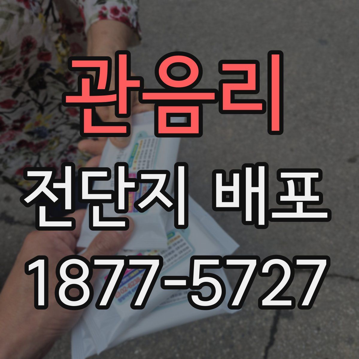 관음리 전단지 배포