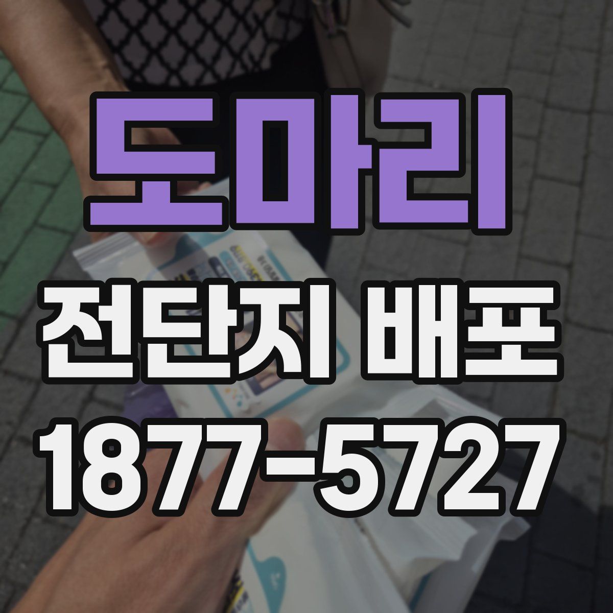 도마리 전단지 배포