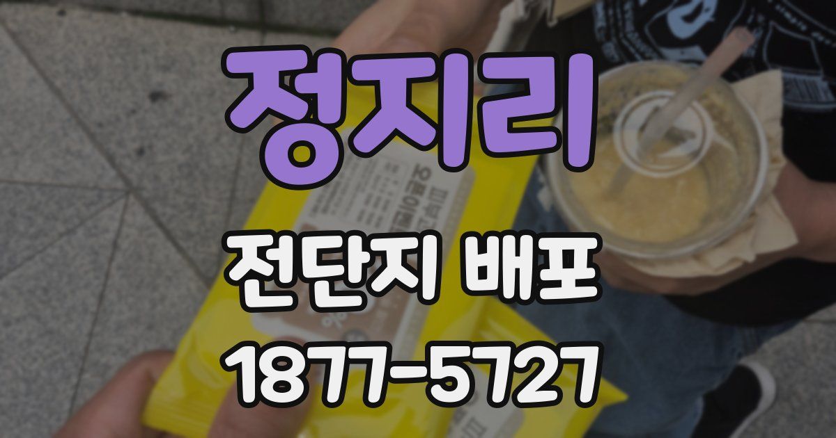 정지리 전단지 배포