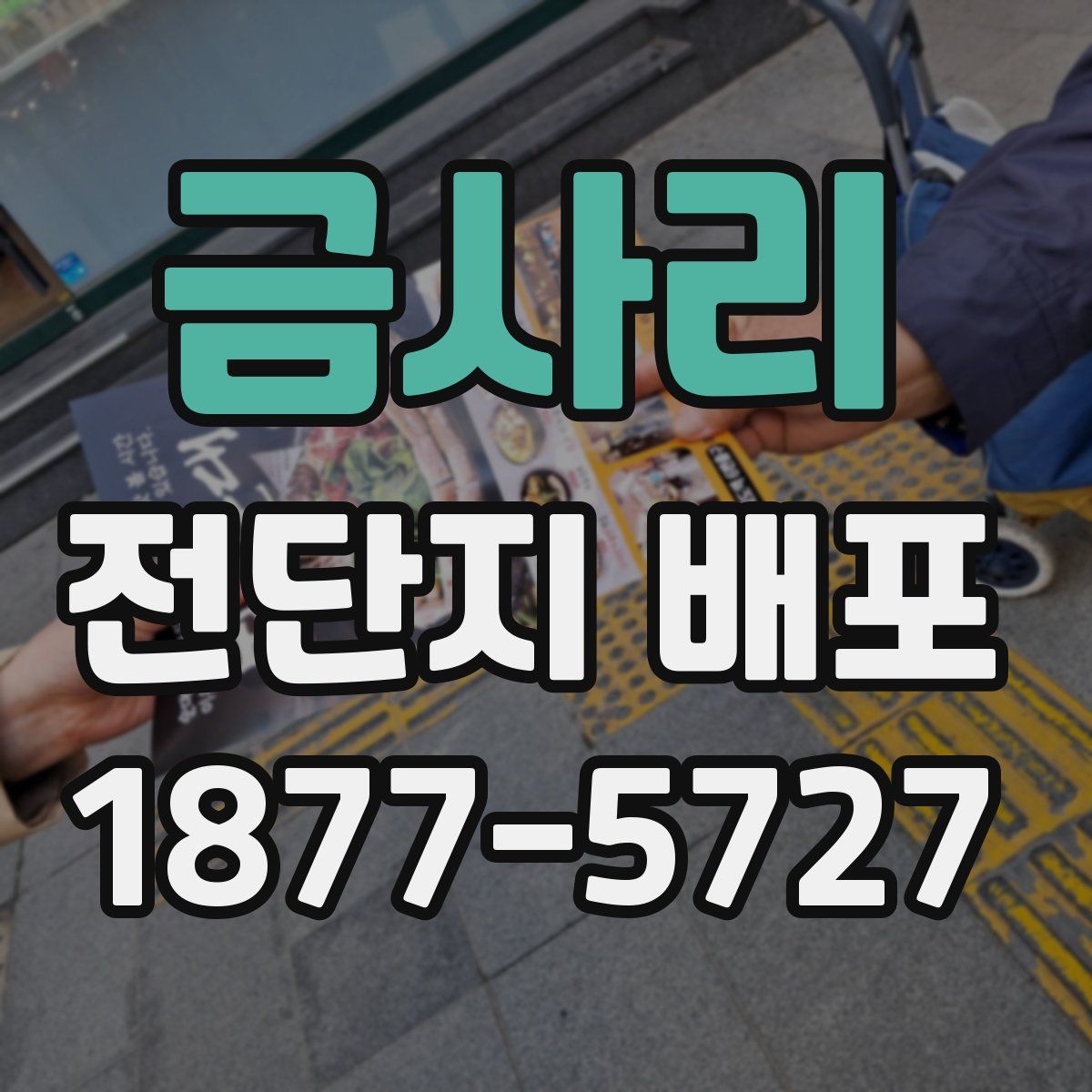 금사리 전단지 배포