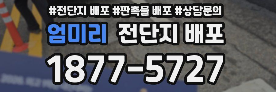 엄미리 전단지 배포