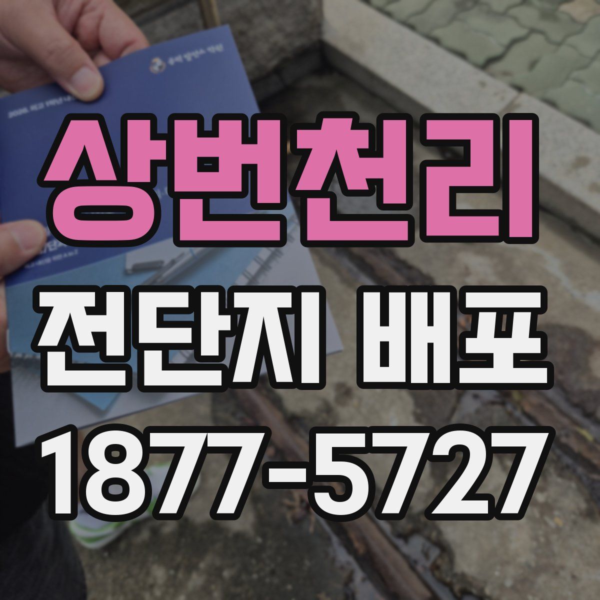 상번천리 전단지 배포
