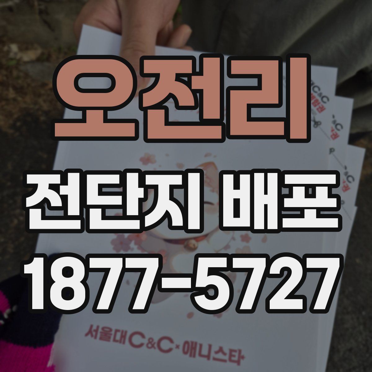 오전리 전단지 배포