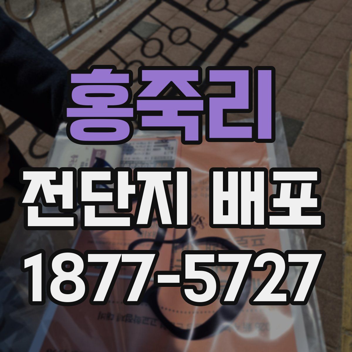 홍죽리 전단지 배포