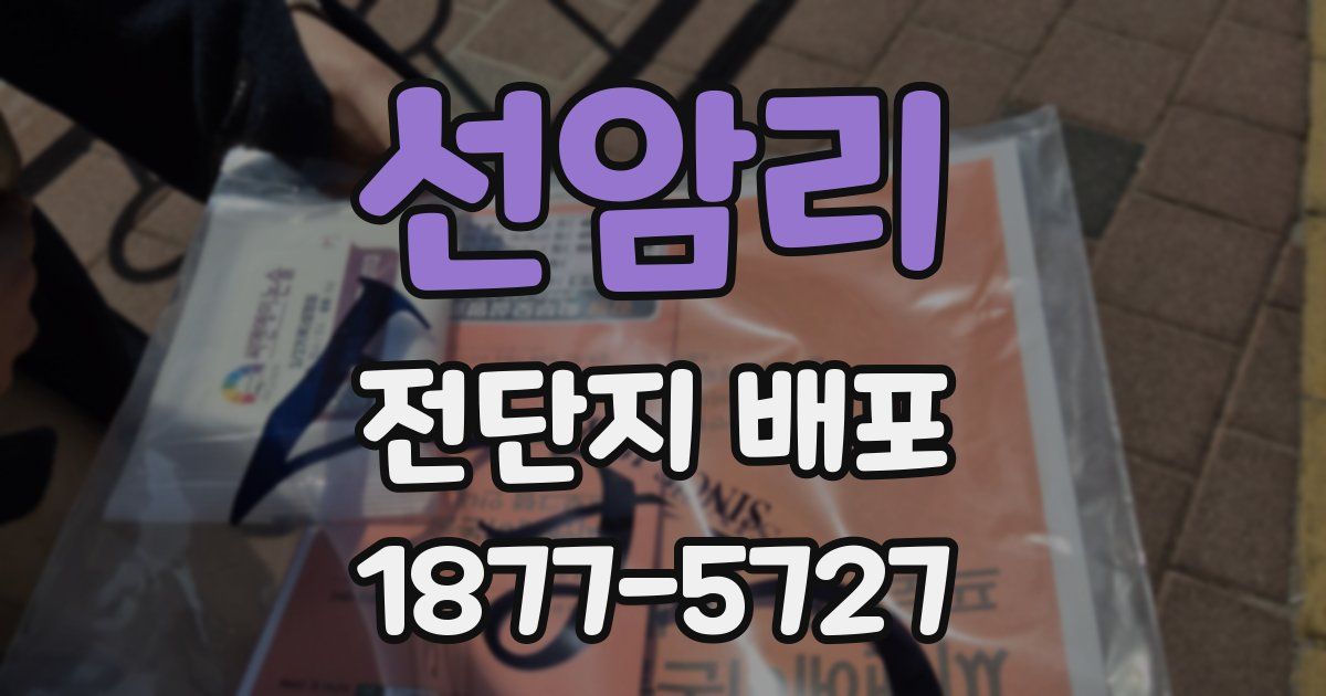선암리 전단지 배포