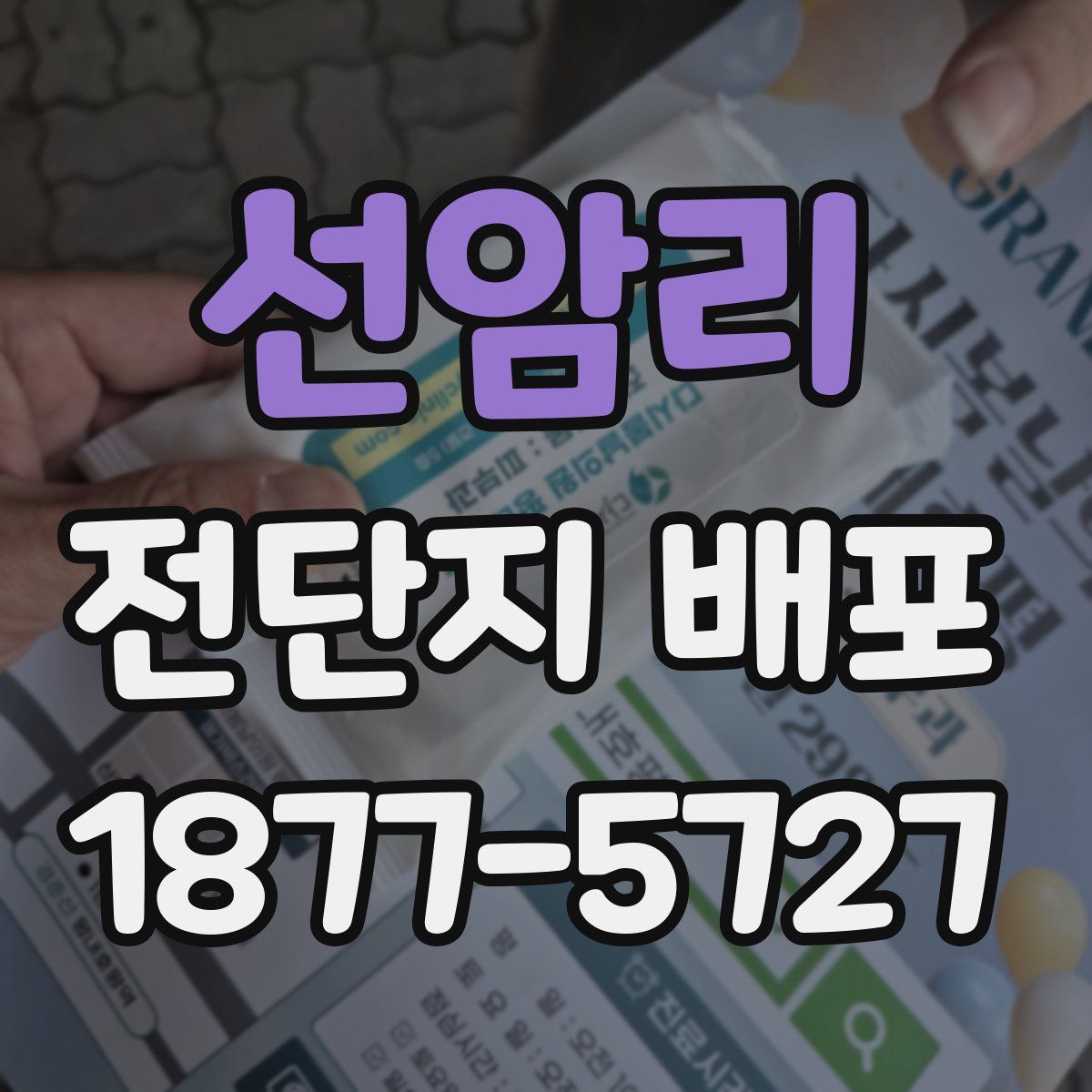 선암리 전단지 배포