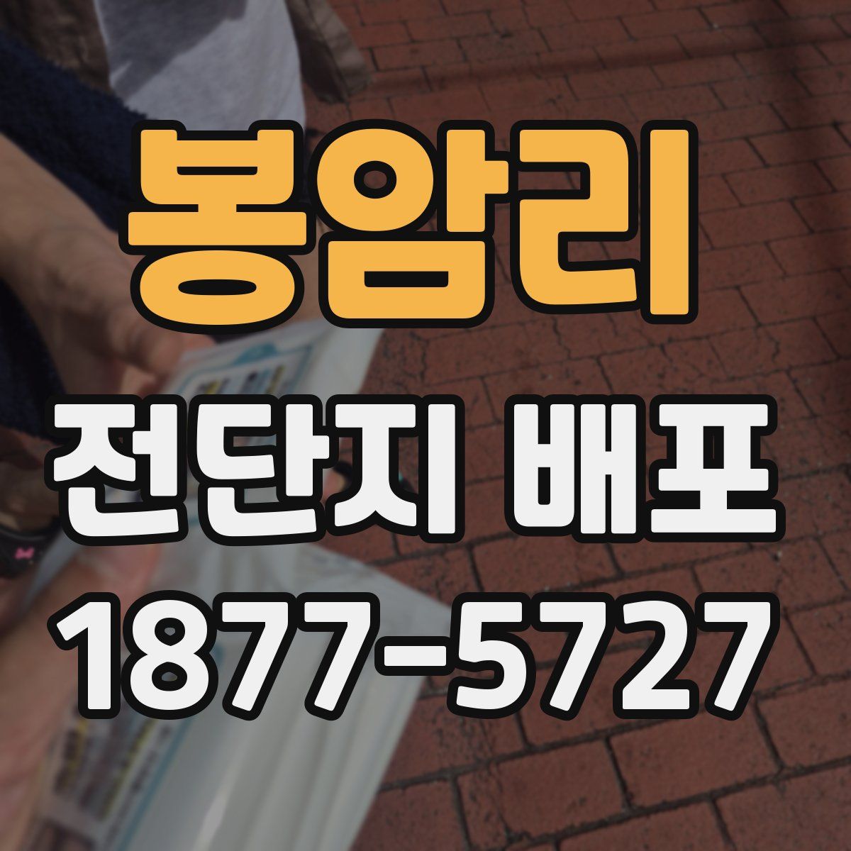 봉암리 전단지 배포
