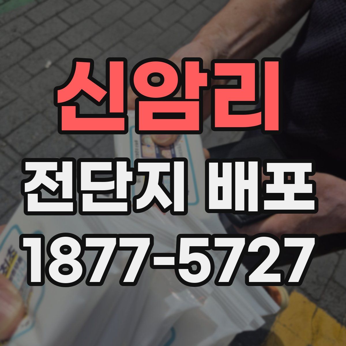 신암리 전단지 배포