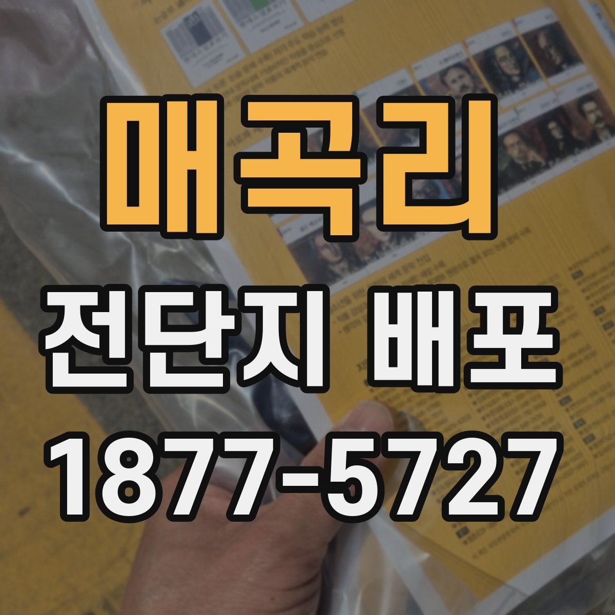 매곡리 전단지 배포