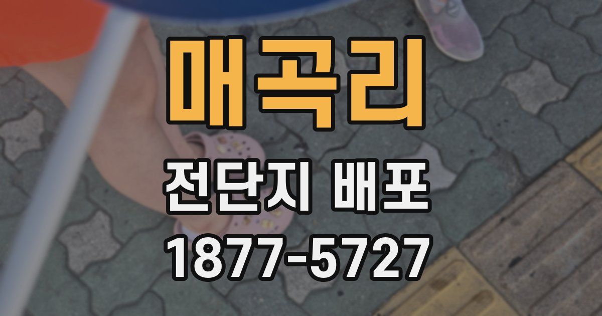 매곡리 전단지 배포