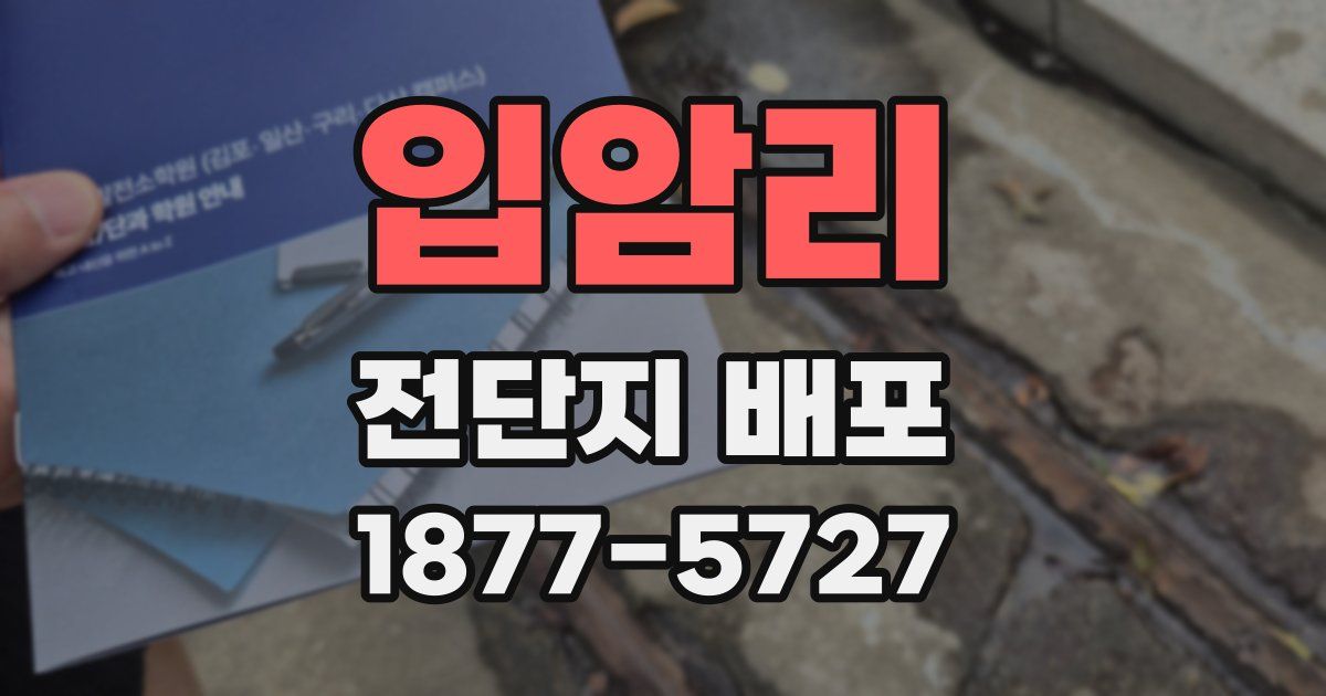 입암리 전단지 배포