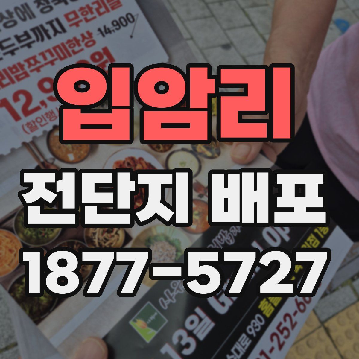 입암리 전단지 배포