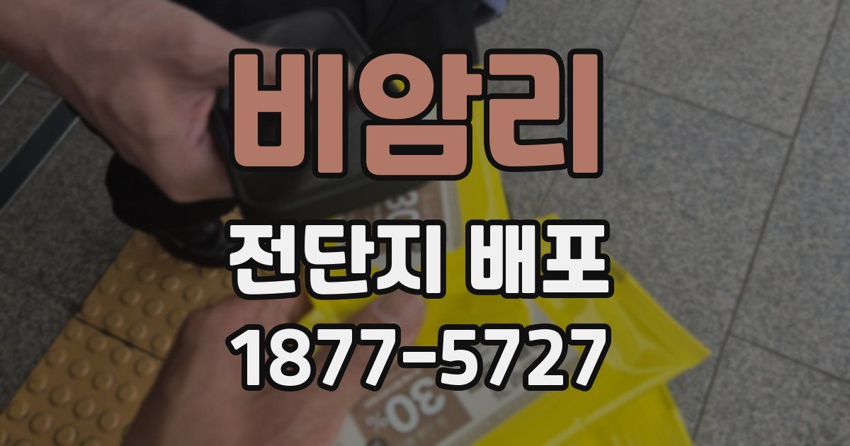 비암리 전단지 배포