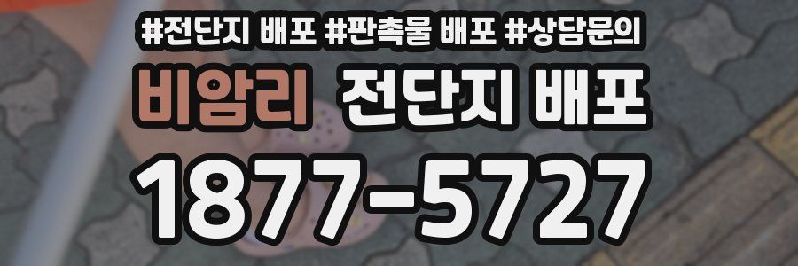 비암리 전단지 배포