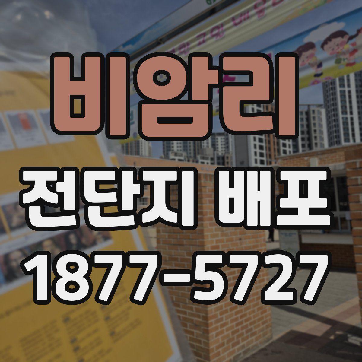 비암리 전단지 배포