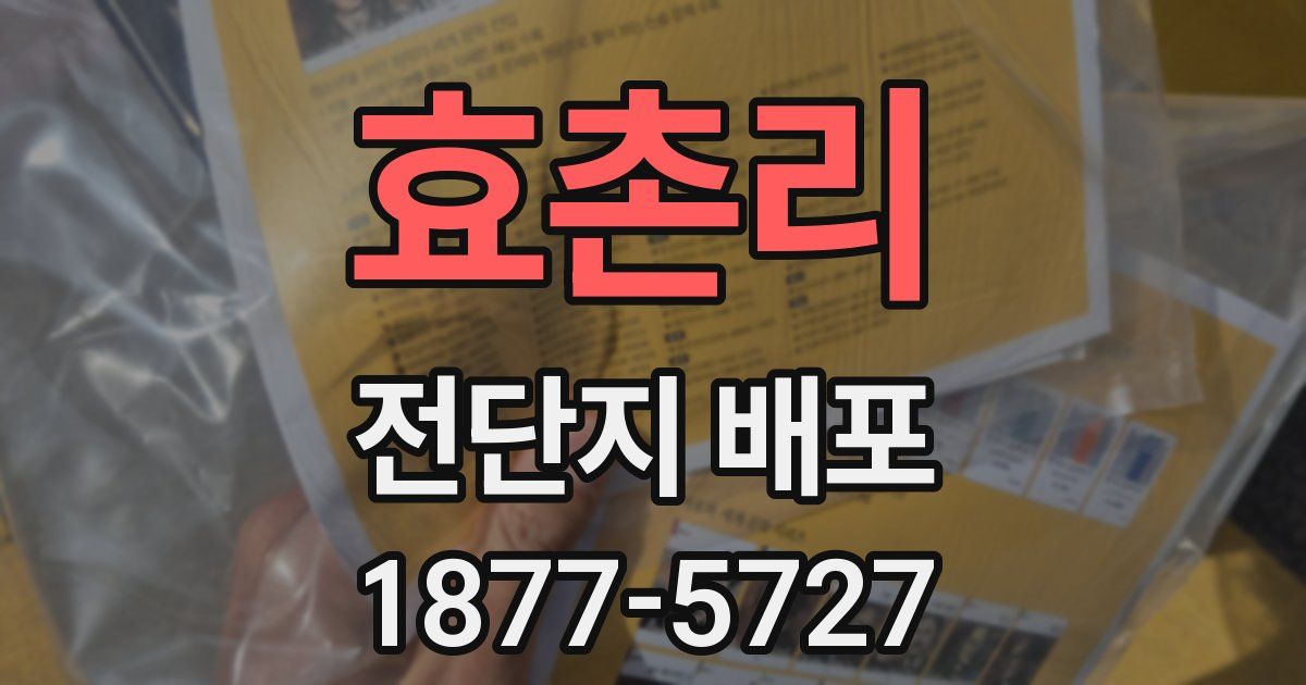 효촌리 전단지 배포