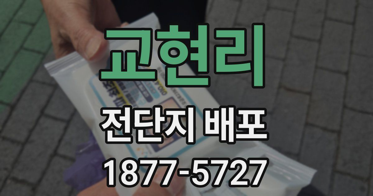 교현리 전단지 배포