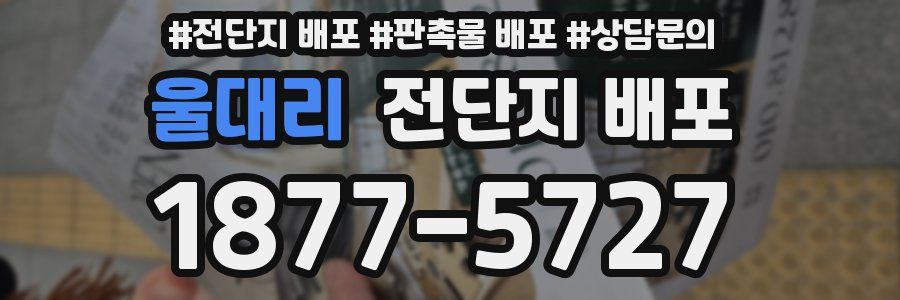 울대리 전단지 배포