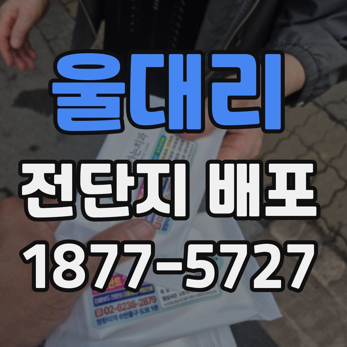 울대리 전단지 배포