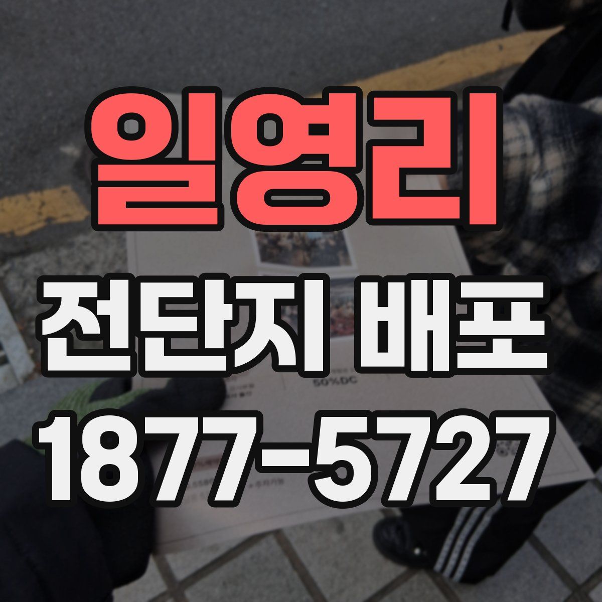 일영리 전단지 배포