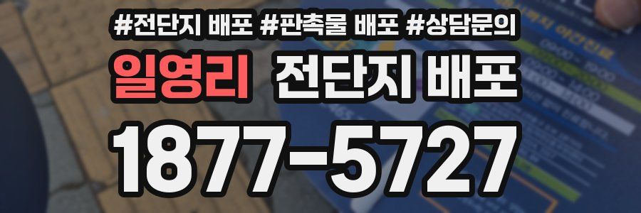 일영리 전단지 배포