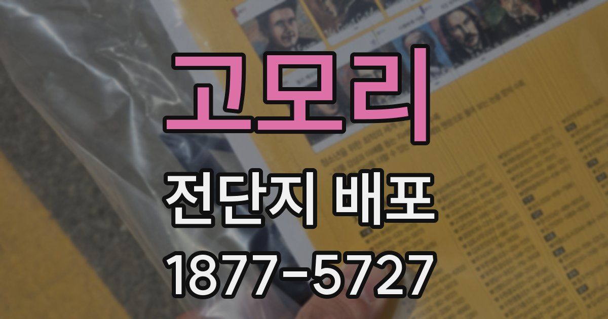 고모리 전단지 배포