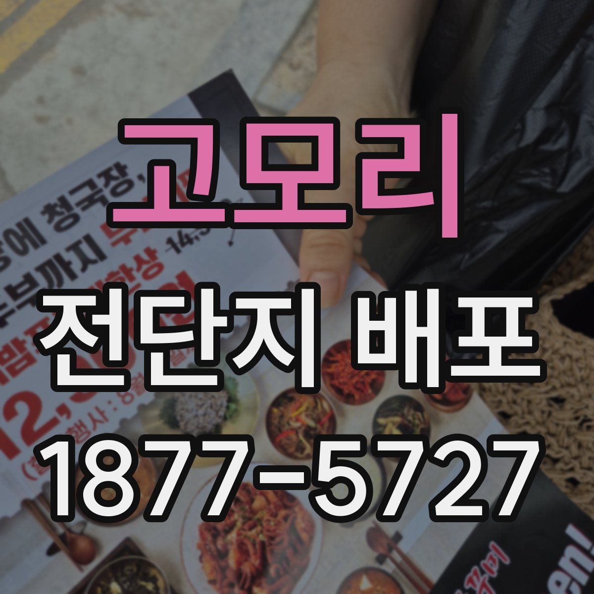고모리 전단지 배포