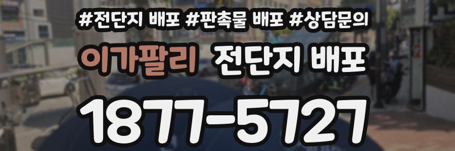이가팔리 전단지 배포