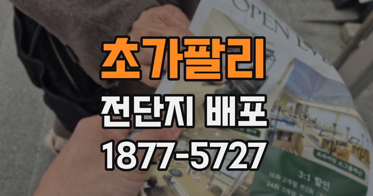 초가팔리 전단지 배포